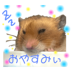 sanae_20220409141730