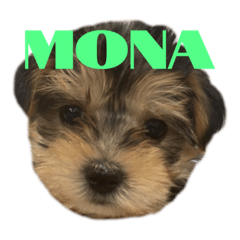 yuina_20220409142621