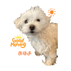 matsu_20220409142908