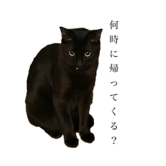 shiho_20220409143223