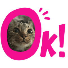 asako_20220409144617