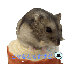 SANAE_20220409145959