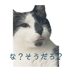 Chisa_20220409145321