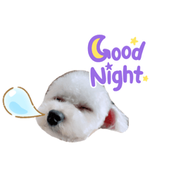 arisa_20220409152643