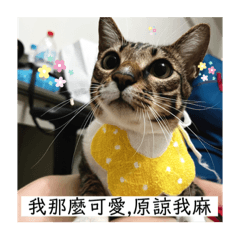 Cindy_20220409142644