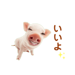 Pig_20220408225714