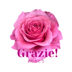 smile_20220409005340