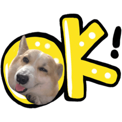 可愛のLucky❤️