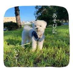 natsumi_20220409151955