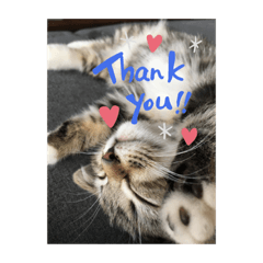 asako_20220409152956