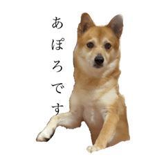 tomomi_20220409154703