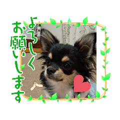 arisa_20220409153028