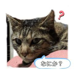 kaori_20220409153648