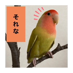 Hana_20220409154206
