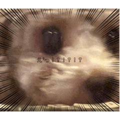 yuina_20220409165300