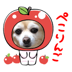 MIKI_20220410092406