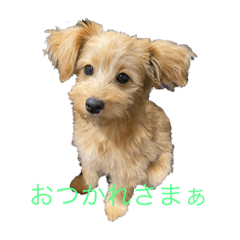 SUZU_20220410100937