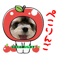 kuu_20220410101141