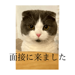 terak_20220410103301