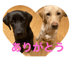 miki_20220410104333
