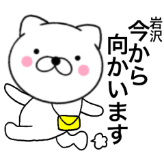 Name cat Iwasawa