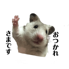 ayumi_20220409182316