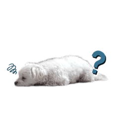 ton_20220409143908
