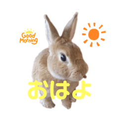 hana_20220409201945
