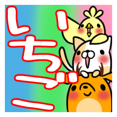 ICHIGO's exclusive sticker