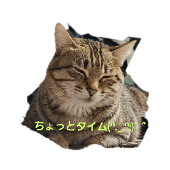 miki_20220410123631