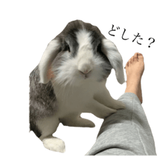 ai_20220409232017