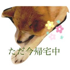 hiyori_20220409224419