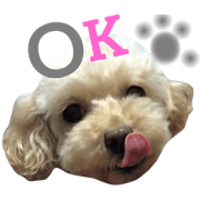 coco's stamp. coco's stamp.