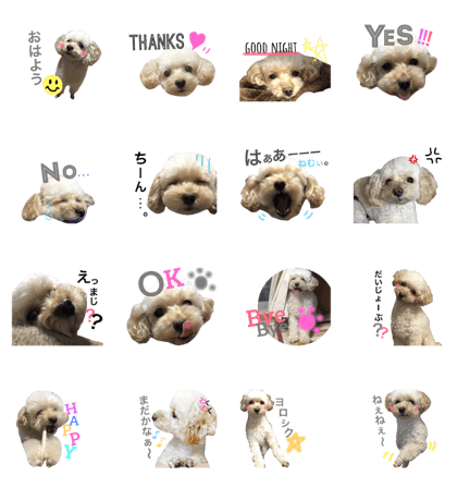 coco's stamp. coco's stamp.