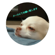 hall,my dog