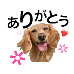 くうちゃん♡スタンプ - LINE スタンプ | LINE STORE くうちゃん♡スタンプ - LINE スタンプ | LINE STORE