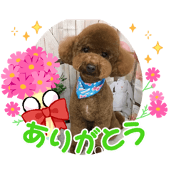 Miyoko_20220409220017
