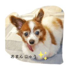 Nanami_20220409220140