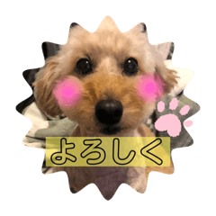 Sayuri_20220409222512