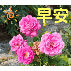 早安午安晚安問候3
