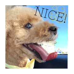 saori_20220410010644