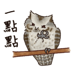 A cute collared scops owl 2
