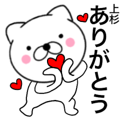 Name cat Uesugi