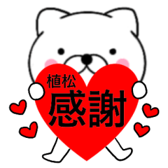 Name cat Uematu