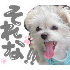 yuka_20220409235318