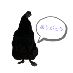 Alice_20220410072223