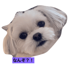 smile_20220410080346