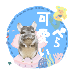 tanuki_20220410091940