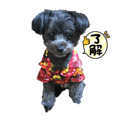 SHIHO_20220410132053