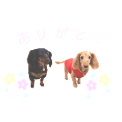 nonty_20220410132255